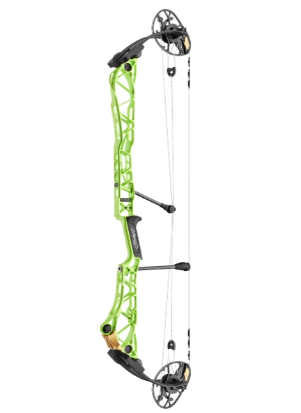 MATHEWS 2025 TITLE 40