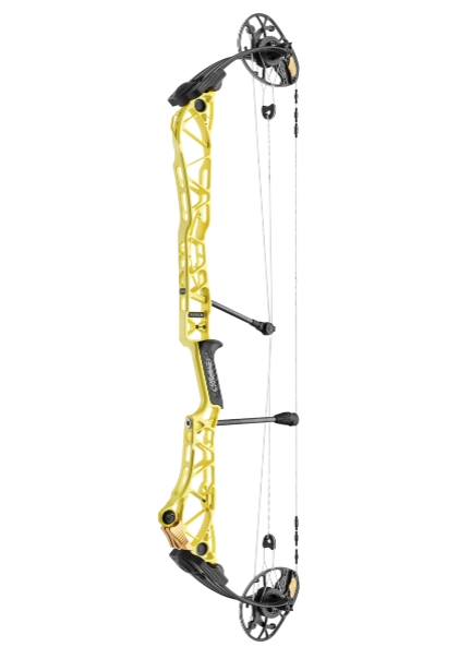 MATHEWS 2025 TITLE 40