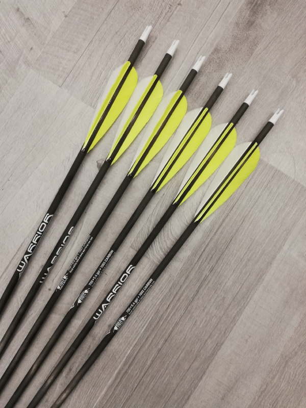 Gold Tip Warrior 28 Carbopfeil mit 4 Parabol Naturfeder