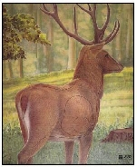 Zielscheiben Tierbild Auflage Hirsch