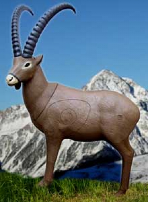 3D SRT Steinbock
