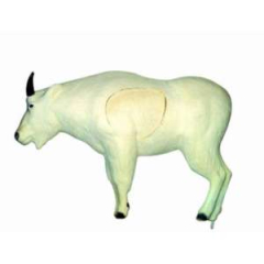 Eleven Montain Goat 3D Animal Target