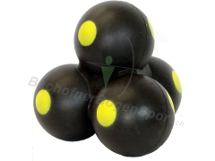 SRT SFB Roving Trainer SRT SFB Roving Trainer