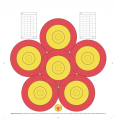 Danage 6 Spot Target Face 20cm