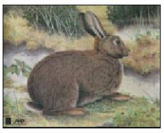 Zielscheiben Tierbild Auflage Kaninchen