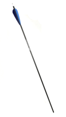 Gold Tip Warrior 600 Carbonpfeil