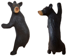 Leitold kleiner Schwarzbr kletternd