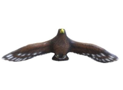 Leitold Steinadler fliegend 3D-Tier Gruppe 1