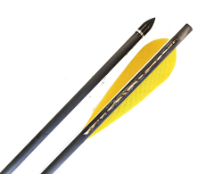 Gold Tip Warrior 600 Carbonpfeil mit 4 Schild Naturfeder