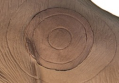 Field Logic 3D Shooter Buck Hit Section