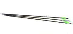 Komplettpfeil Center-Shot 400 6,2mm 3 EP26 Vanes gr�n/weiss Combo 100grn 30