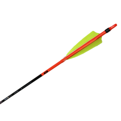 Shocq Komplettpfeil Pavo 6.2 gelb mit Naturfedern, Pin, Nocke,  Prot.Ring & Spitze, L�nge 32