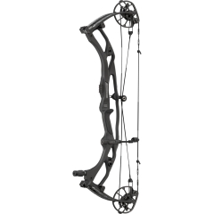 Hoyt 2026 Carbon RX-10 RH 60Lbs 27.25-28 Wilderness/Wilderness