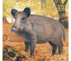 Target Animal Faces Wild Boar